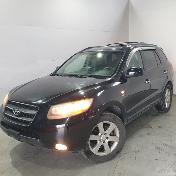 2006 Santafe 6U061368 MJ